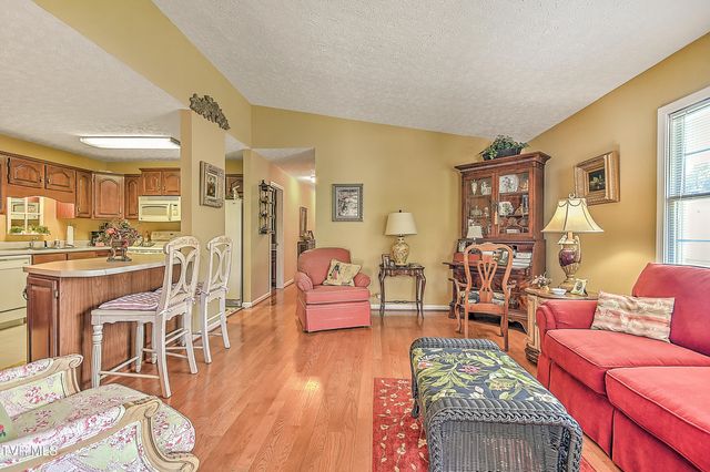 713 Teasel Drive, 0, Kingsport, TN 37660