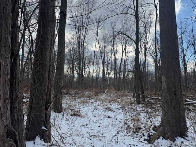 01 Remer Road, East China, MI 48054