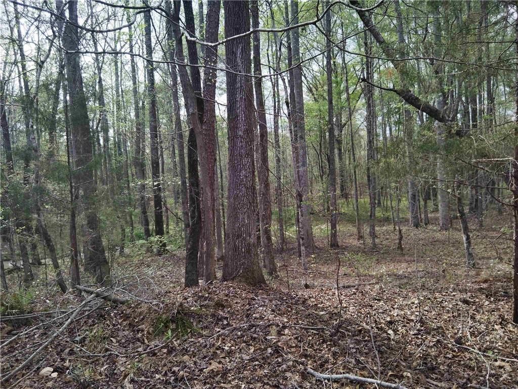 75 Lee, Greenville, GA 30222