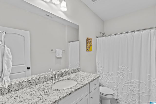 312 WILLOW LEAF CIRCLE, Chelsea, AL 35186