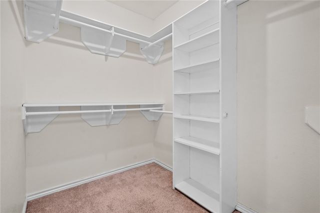 14905 Red River Dr, Corpus Christi, TX 78410