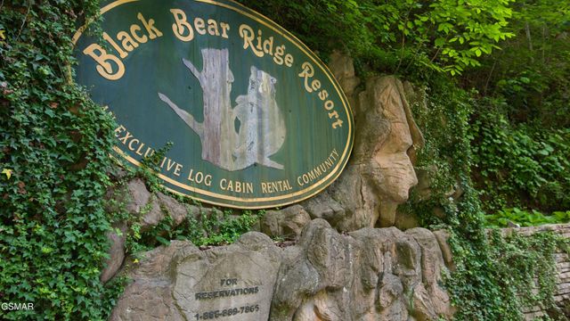 1124 Black Bear Cub Way, Sevierville, TN 37862