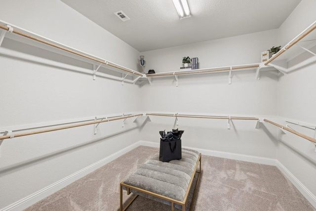 216 Gulfton ST, Lakeway, TX 78738