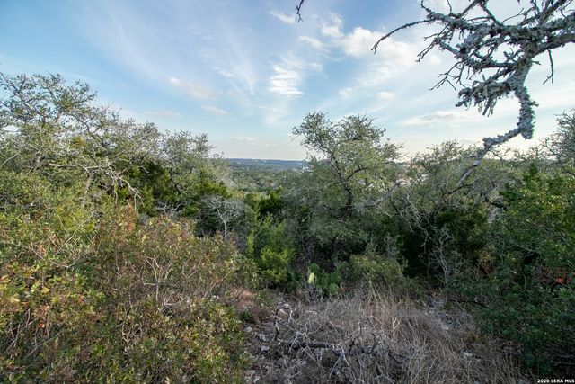 10028 Cates Creek, San Antonio, TX 78255