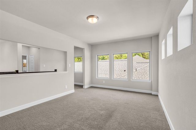 147 Harlequin Duck Court, Magnolia, TX 77354