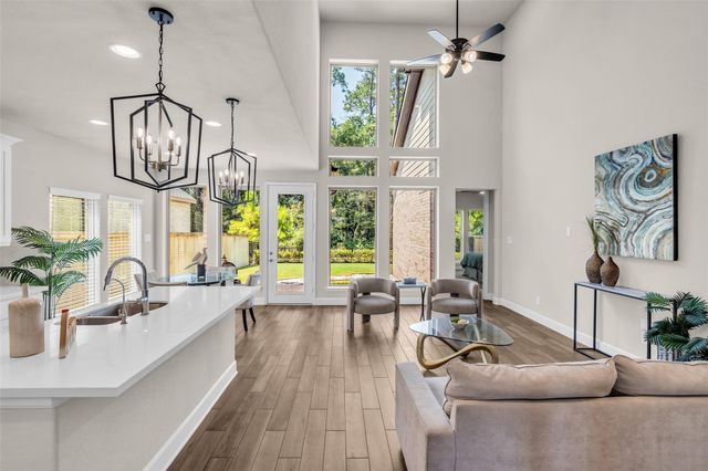147 Harlequin Duck Court, Magnolia, TX 77354