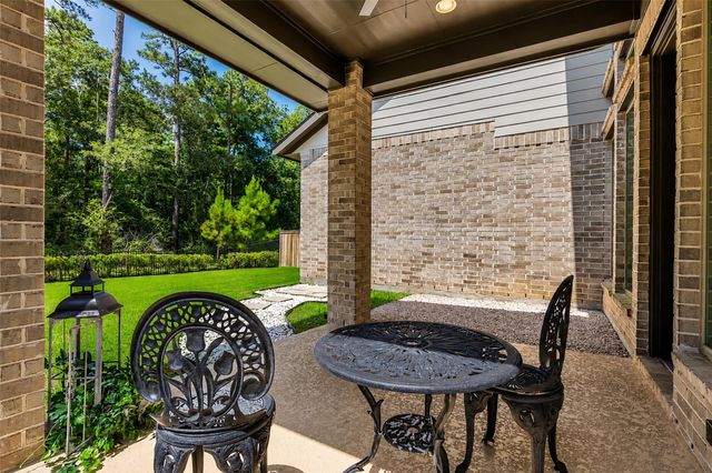 147 Harlequin Duck Court, Magnolia, TX 77354