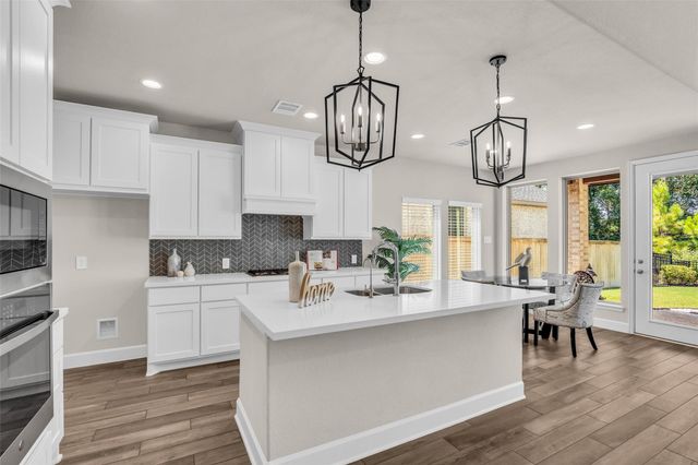 147 Harlequin Duck Court, Magnolia, TX 77354