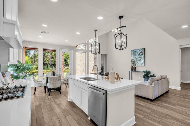 147 Harlequin Duck Court, Magnolia, TX 77354