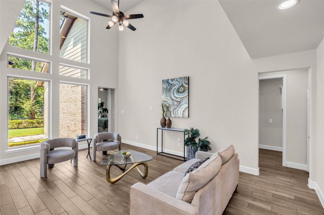 147 Harlequin Duck Court, Magnolia, TX 77354