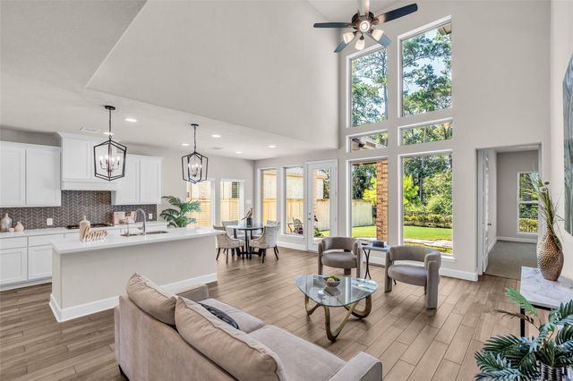 147 Harlequin Duck Court, Magnolia, TX 77354