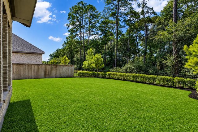 147 Harlequin Duck Court, Magnolia, TX 77354