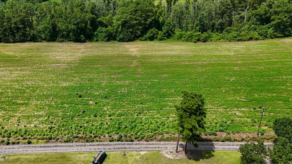 Lot 4 Ida Ln, Conway, SC 29527 — photo 2