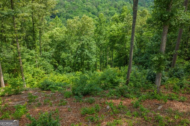 LOT 296 Pebble Trace, Talking Rock, GA 30175
