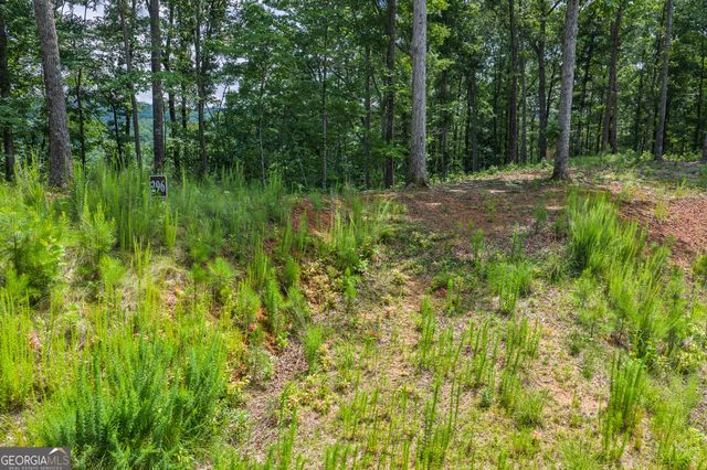 LOT 296 Pebble Trace, Talking Rock, GA 30175