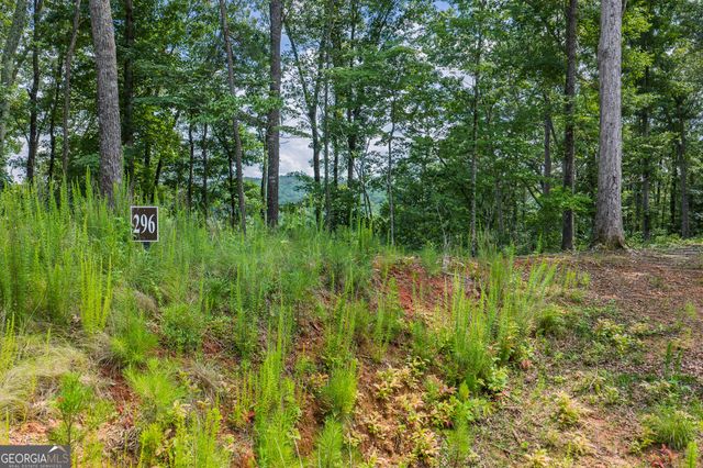 LOT 296 Pebble Trace, Talking Rock, GA 30175