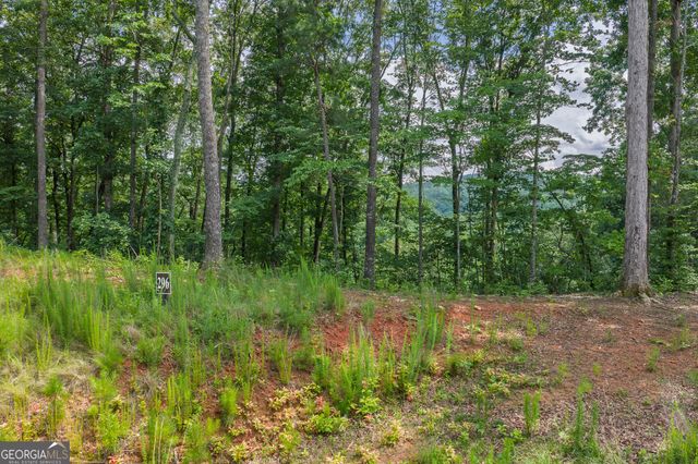 LOT 296 Pebble Trace, Talking Rock, GA 30175