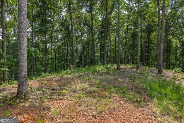 LOT 296 Pebble Trace, Talking Rock, GA 30175