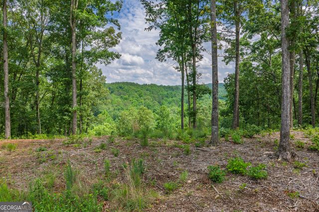 LOT 296 Pebble Trace, Talking Rock, GA 30175