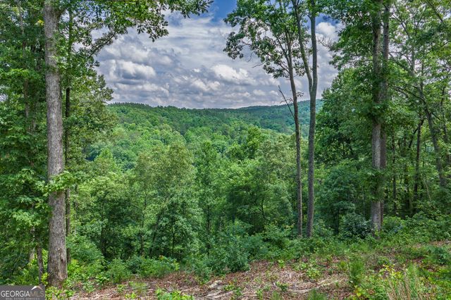 LOT 296 Pebble Trace, Talking Rock, GA 30175
