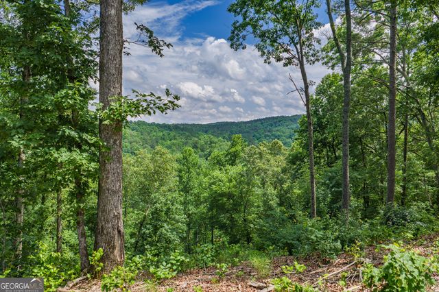 LOT 296 Pebble Trace, Talking Rock, GA 30175
