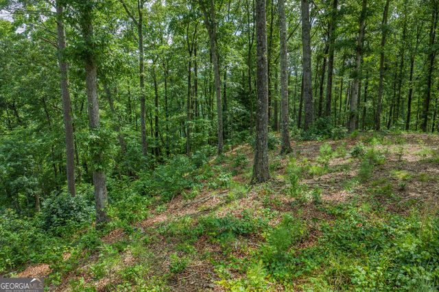 LOT 296 Pebble Trace, Talking Rock, GA 30175