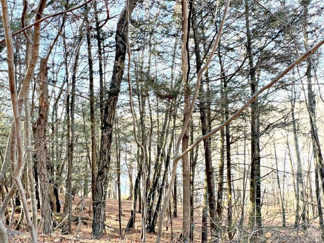 65 Patricia Lane, Stanford, NY 12514