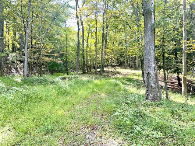 65 Patricia Lane, Stanford, NY 12514