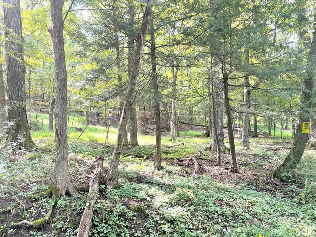 65 Patricia Lane, Stanford, NY 12514