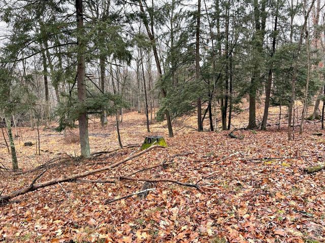 65 Patricia Lane, Stanford, NY 12514