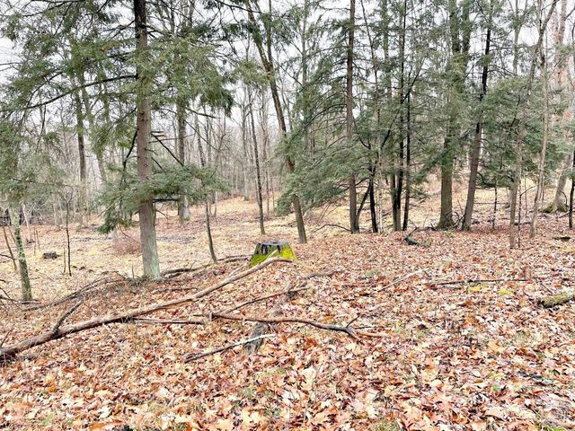 65 Patricia Lane, Stanford, NY 12514