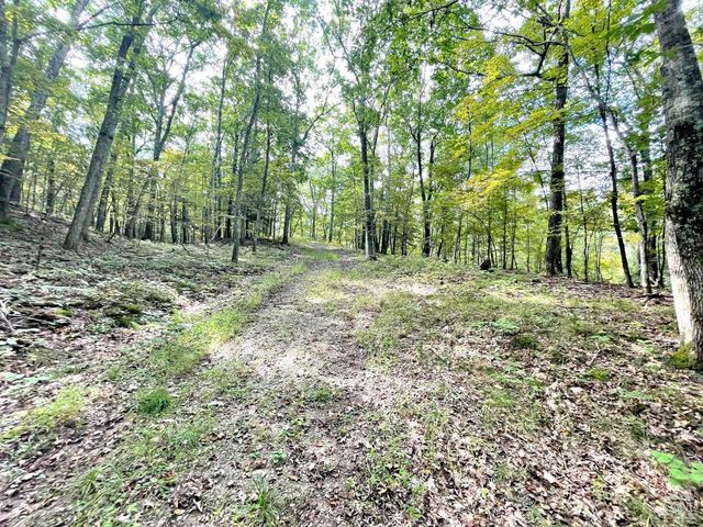 65 Patricia Lane, Stanford, NY 12514