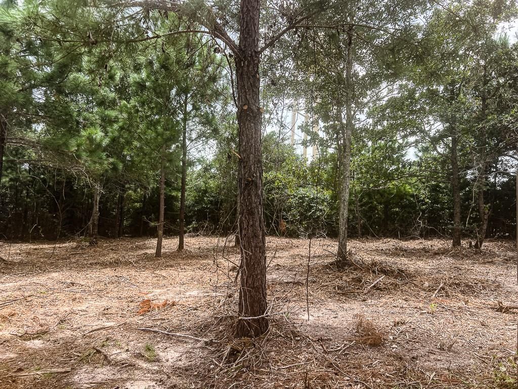 13553 County Road 446, Navasota, TX 77868