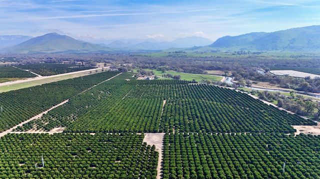 19188 E Trimmer Springs Road, Sanger, CA 93657