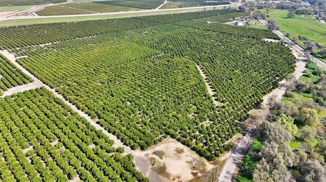 19188 E Trimmer Springs Road, Sanger, CA 93657