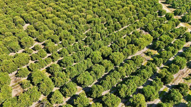 19188 E Trimmer Springs Road, Sanger, CA 93657