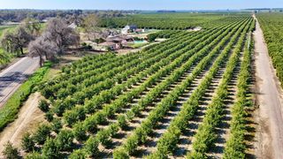 19188 E Trimmer Springs Road, Sanger, CA 93657