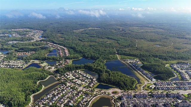 13203 BLISSFIELD, Odessa, FL 33556