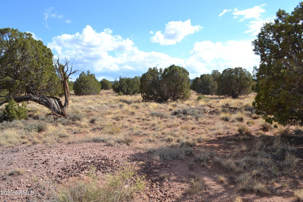 Image 10 of property listing at 4161 Colt Road 273, Snowflake, AZ 85937