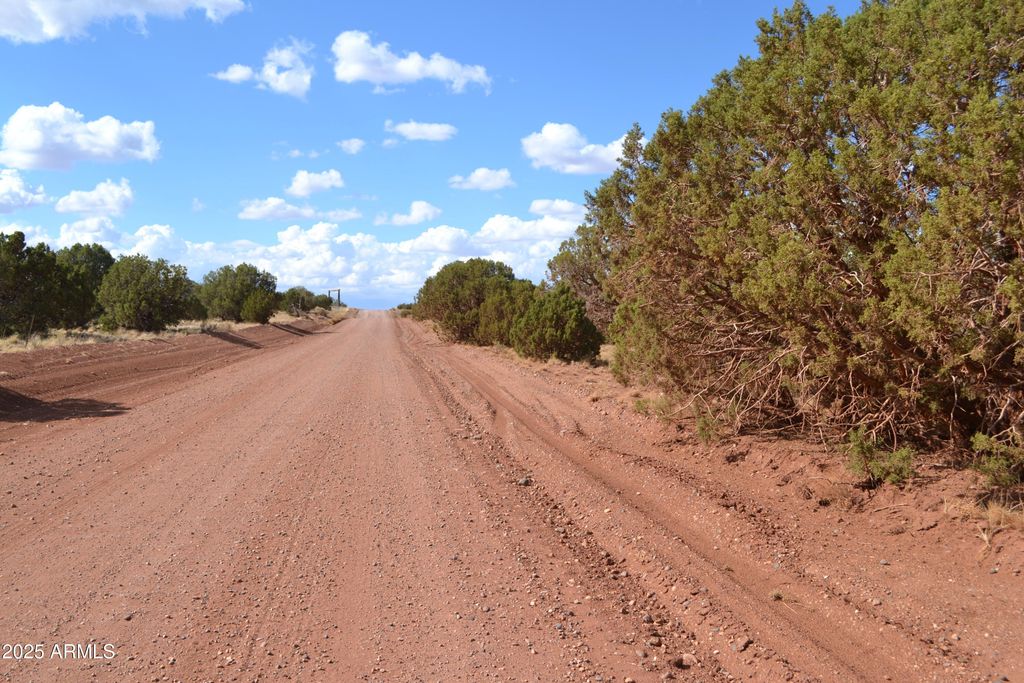 Image 12 of property listing at 4161 Colt Road 273, Snowflake, AZ 85937