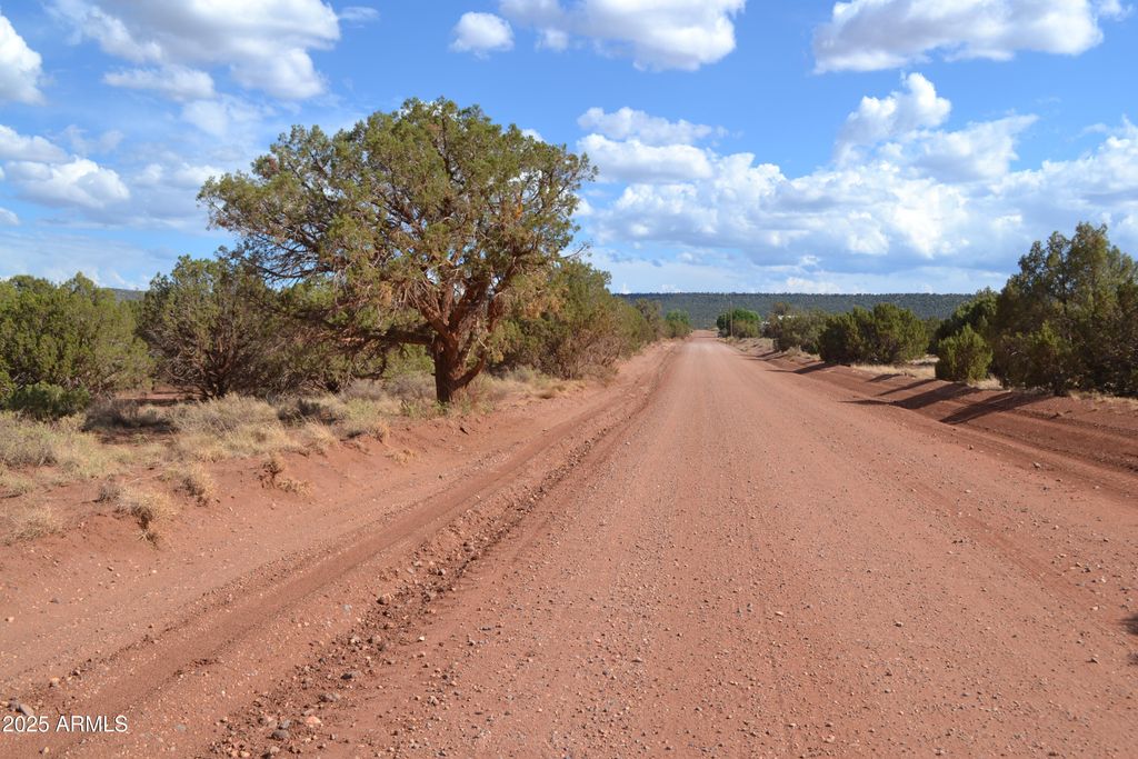 Image 13 of property listing at 4161 Colt Road 273, Snowflake, AZ 85937