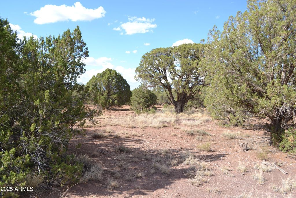 Image 3 of property listing at 4161 Colt Road 273, Snowflake, AZ 85937