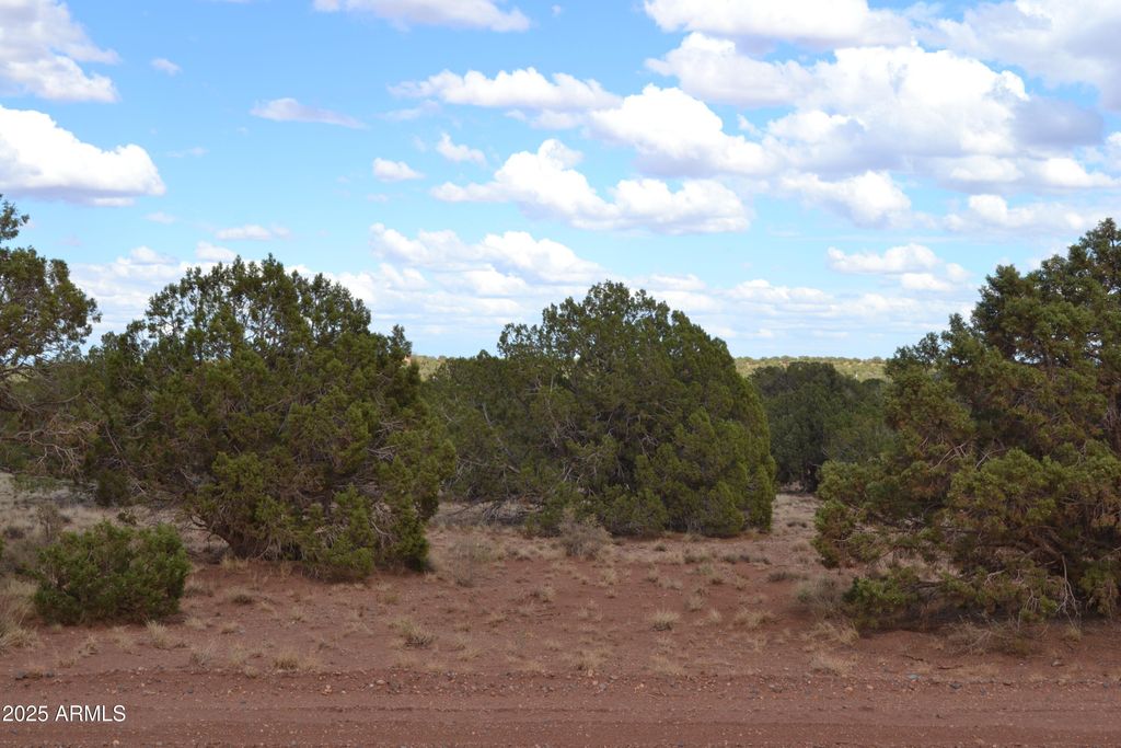 Image 4 of property listing at 4161 Colt Road 273, Snowflake, AZ 85937