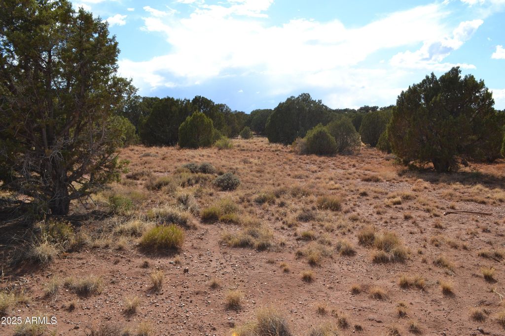 Image 9 of property listing at 4161 Colt Road 273, Snowflake, AZ 85937