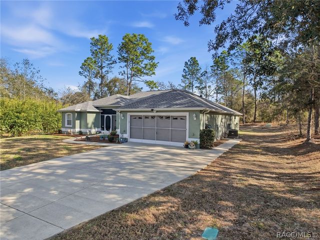 9131 N Alpinia Drive, Citrus Springs, FL 34434