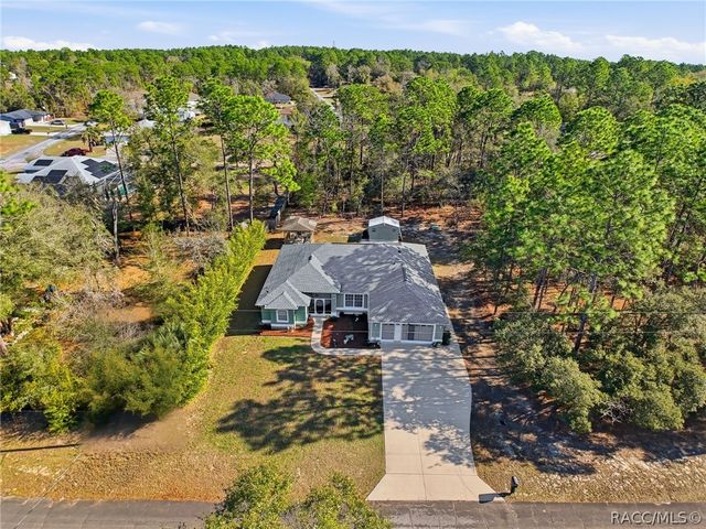 9131 N Alpinia Drive, Citrus Springs, FL 34434