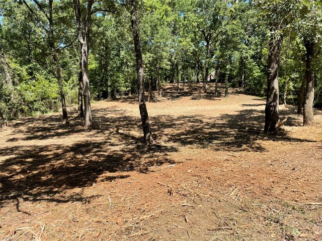 65 Alta Vista, Malakoff, TX 75148