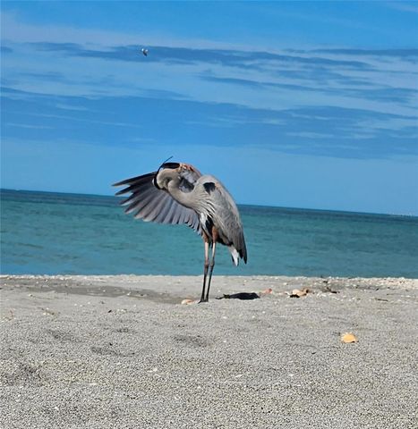 908 VILLAS DRIVE 14, Venice, FL 34285