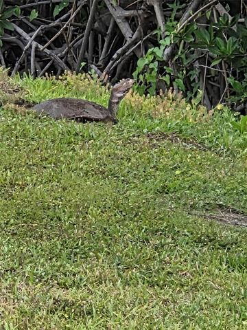 908 VILLAS DRIVE 14, Venice, FL 34285