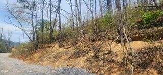 Lot 16 Headrick Lead, Sevierville, TN 37876